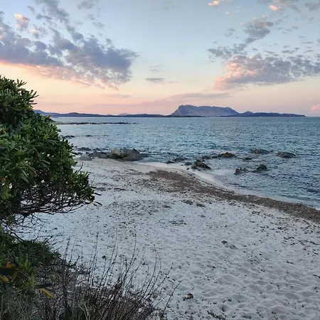 Bouganvilla By The - 1 San Teodoro (Sardinia)